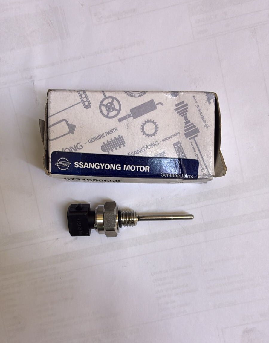 SENSOR TEMPERATURA SSY MUSSO 2 - 2 18 - Repuestos BYC SPA - Repuestos BYC SPA - 6731500658OR