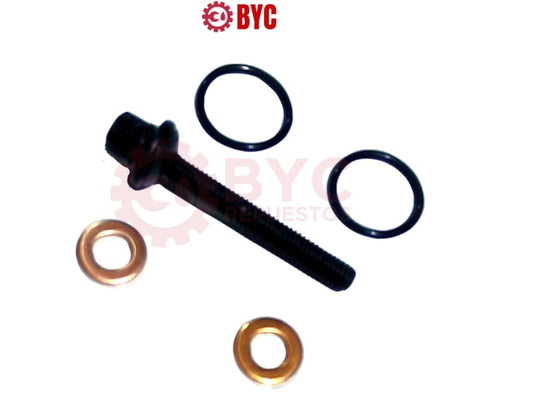 Kit reparación inyector SsangYong Actyon Rexton Stavic Grand Musso 2.2 - Repuestos BYC SPA - SSANGYONG - 671017KT21 EURO 5-6